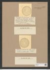 Stictodiscus radiatus Castr. (de-Toni-Nr.: Genus 205, Species 5229) Zeichnungen Sammlung Grunow Nr. 9027 (NHMW-BOT-W0378742)